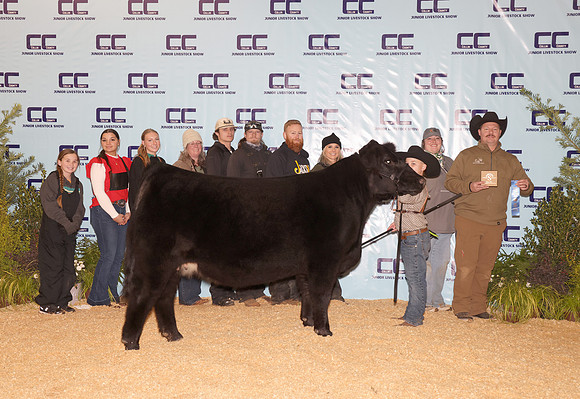 Cattle Backdrop 8jpg