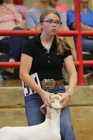 East Texas State Fair - Goat Showmanship-115