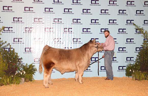 Cattle Backdrop 24
