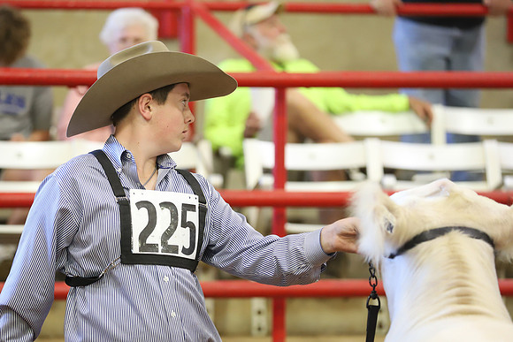 East Texas State Fair - Steer Show-060