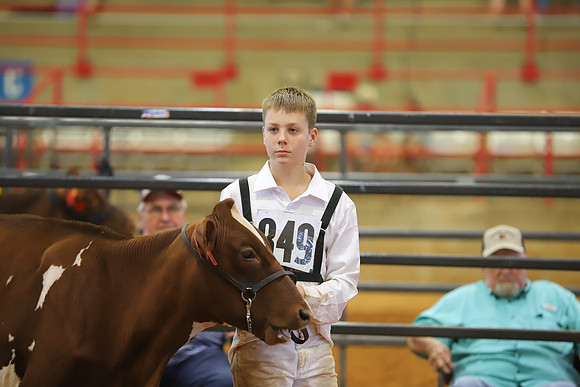 East Texas State Fair - Dairy Show-022