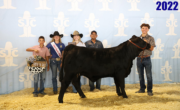 Lot 36