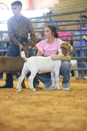 East Texas State Fair - Goat Show-108