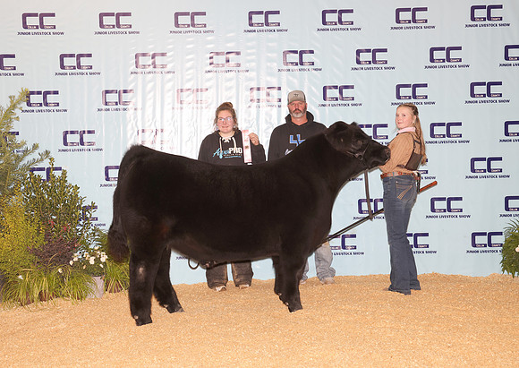 Cattle Backdrop 23