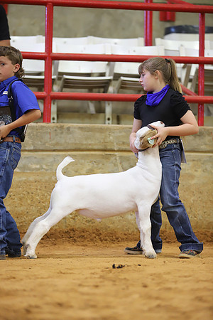East Texas State Fair - Goat Show-047
