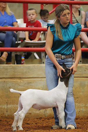 East Texas State Fair - Goat Showmanship-125