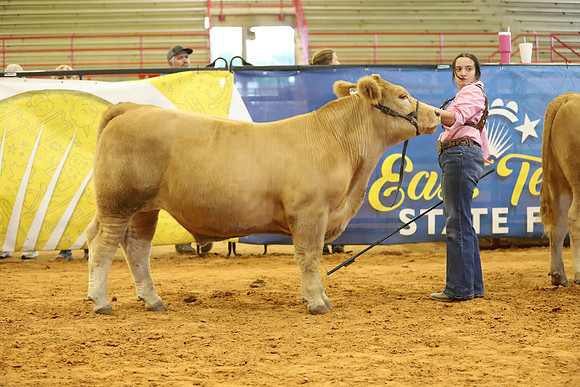 East Texas State Fair - Steer Show-037