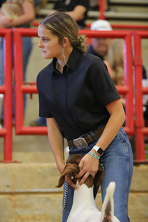 East Texas State Fair - Goat Show-102