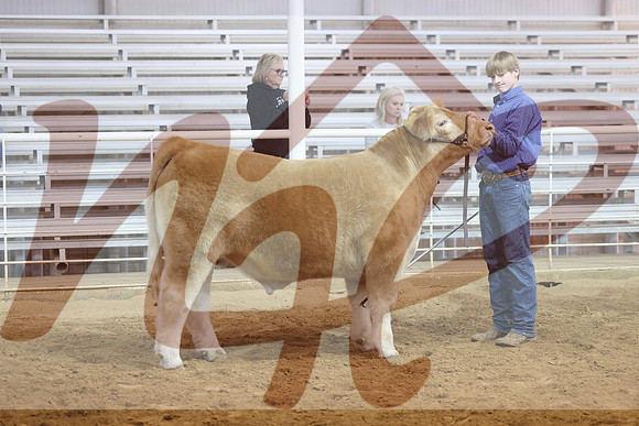 J63A8191