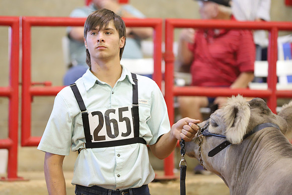 East Texas State Fair - Steer Show-043