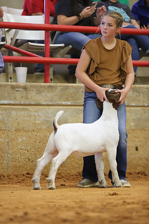 East Texas State Fair - Goat Show-093