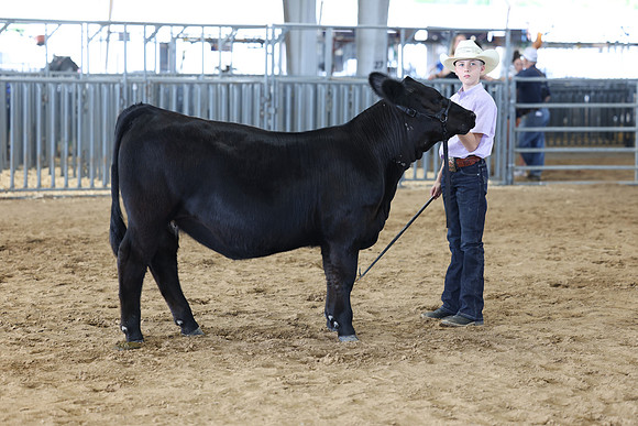 2L6A9202