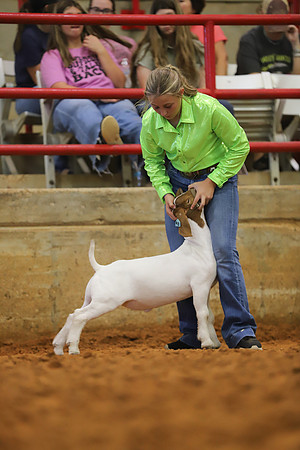 East Texas State Fair - Goat Showmanship-043