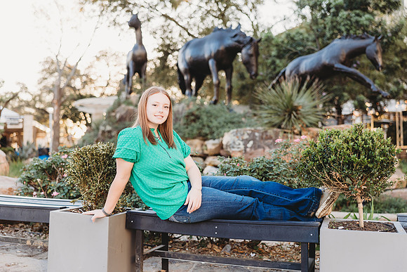HLSR Mini-14
