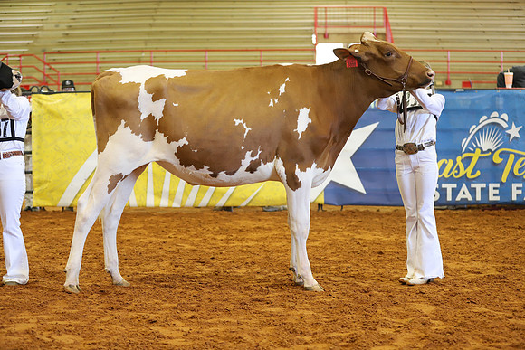 East Texas State Fair - Dairy Show-301