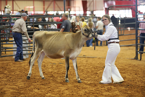 East Texas State Fair - Dairy Show-042