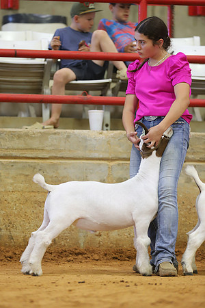 East Texas State Fair - Goat Show-048