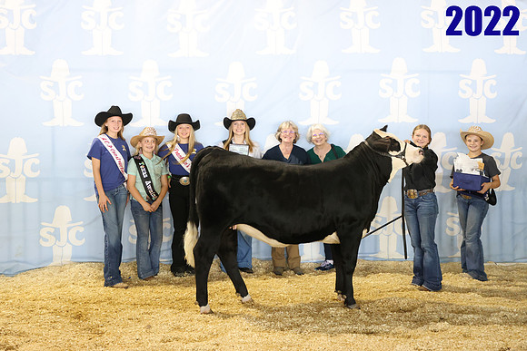 lot 86