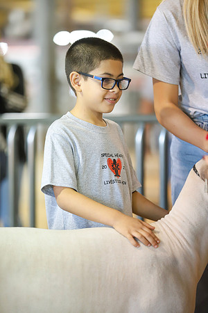 SJCFR_SpecialHearts-084