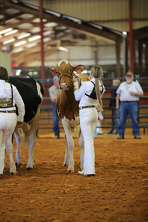 East Texas State Fair - Dairy Show-317