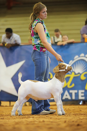 East Texas State Fair - Goat Show-003