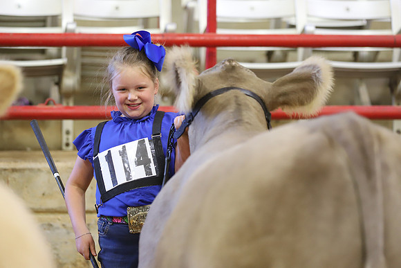 East Texas State Fair - Steer Show-027
