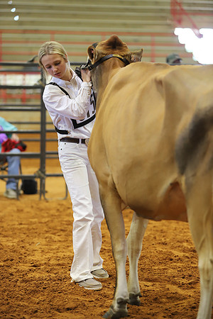 East Texas State Fair - Dairy Show-078