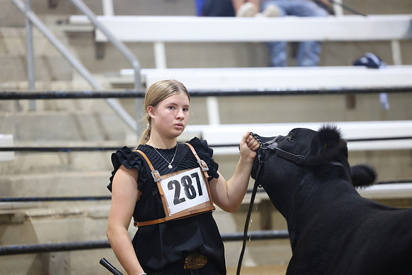 J63A1977