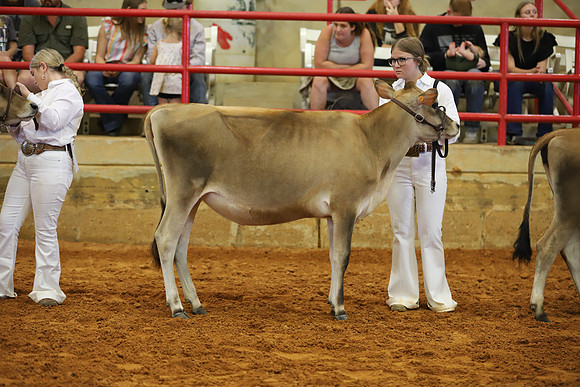 East Texas State Fair - Dairy Show-086