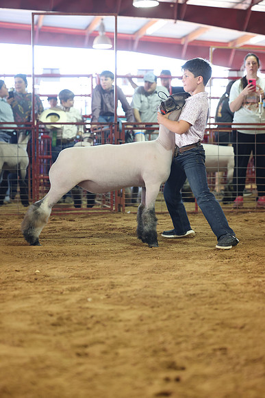 2L6A2295