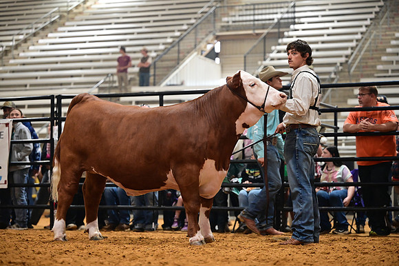 RCM_0259