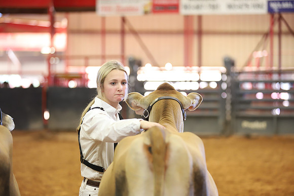 East Texas State Fair - Dairy Show-130