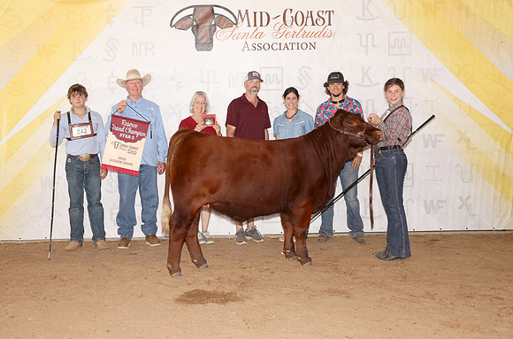Midcoast 8