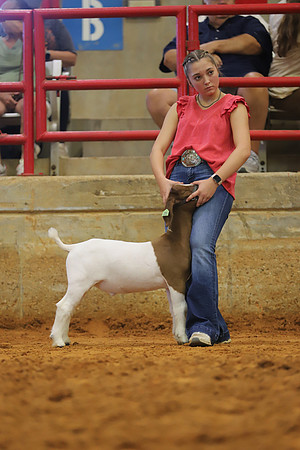 East Texas State Fair - Goat Showmanship-050