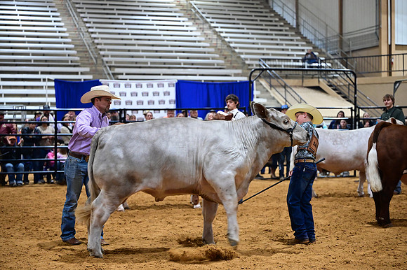 RCM_0348