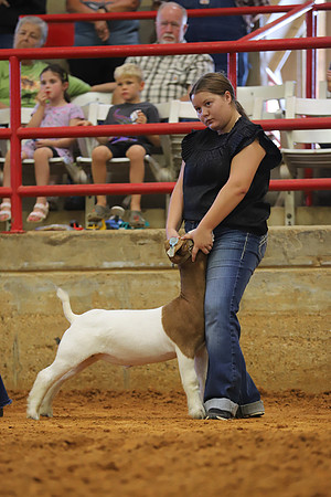 East Texas State Fair - Goat Showmanship-048