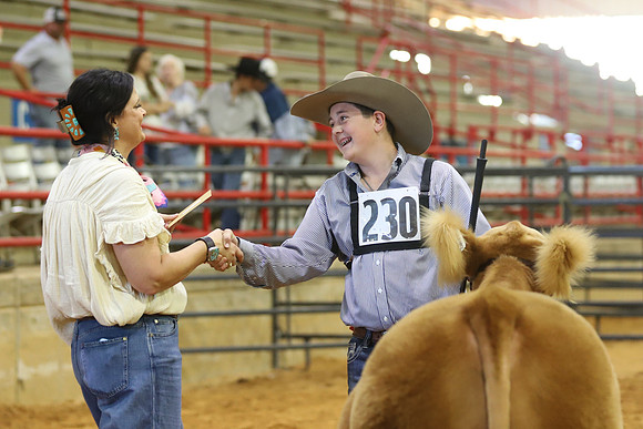 East Texas State Fair - Steer Show-002