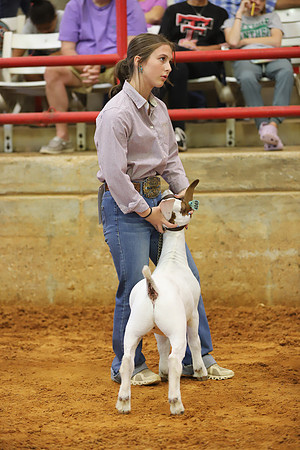 East Texas State Fair - Goat Showmanship-101