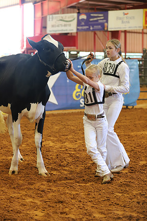 East Texas State Fair - Dairy Show-324