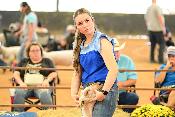 DSC_2474