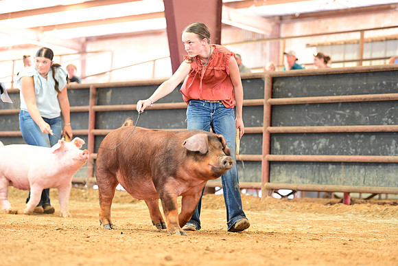 DSC_3578