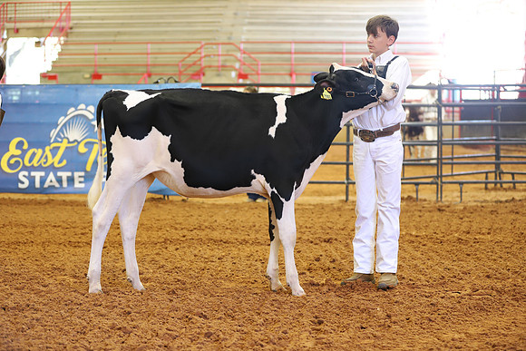 East Texas State Fair - Dairy Show-296