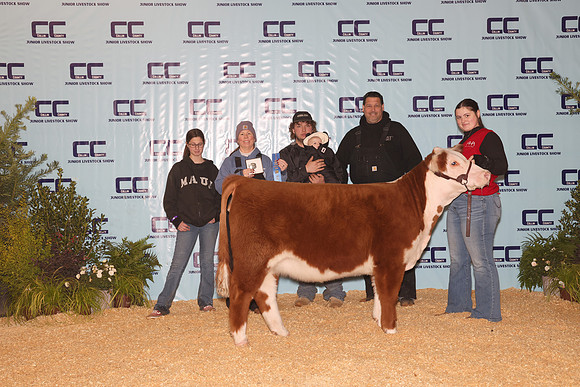Cattle Backdrop 4