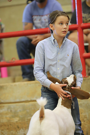 East Texas State Fair - Goat Show-100