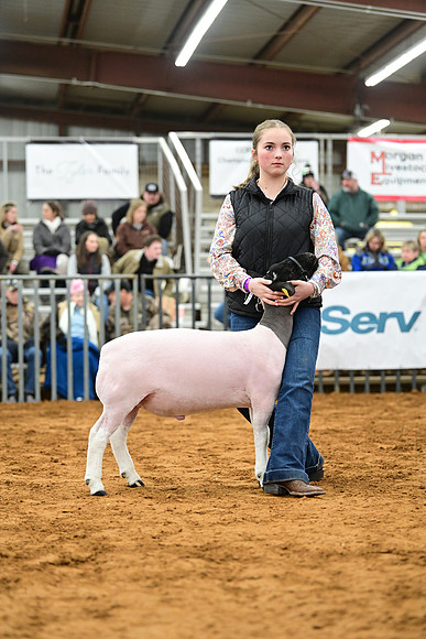DSC_3448