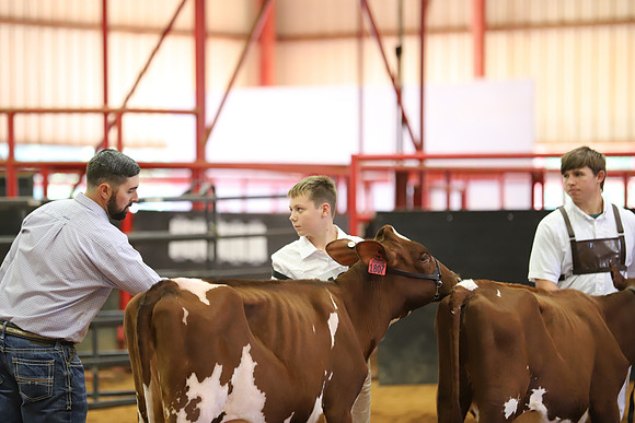 East Texas State Fair - Dairy Show-195