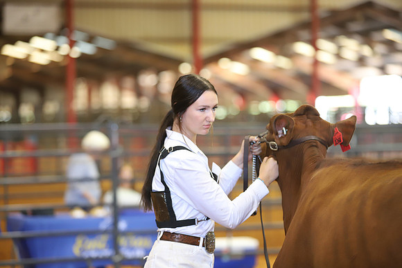 East Texas State Fair - Dairy Show-244