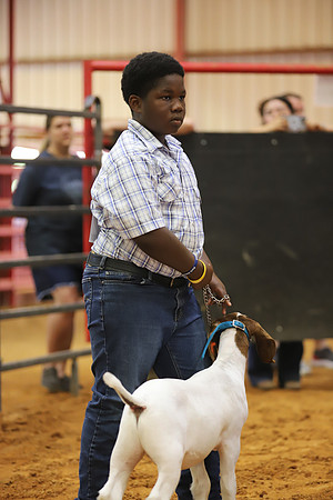 East Texas State Fair - Goat Showmanship-090