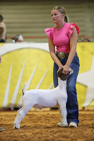 East Texas State Fair - Goat Show-006