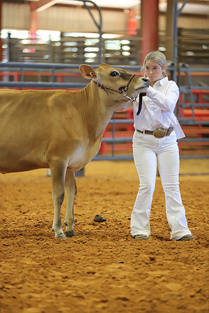 East Texas State Fair - Dairy Show-093